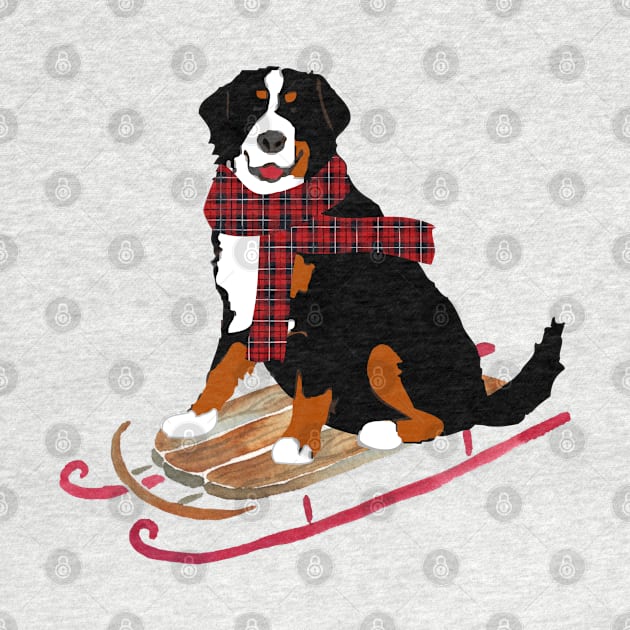 Bernese Mountain Dog Sledding by emrdesigns